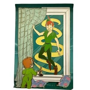 Reflections of neverland Peter Pan fantasy enamel pin LE 65 new jumbo Disney